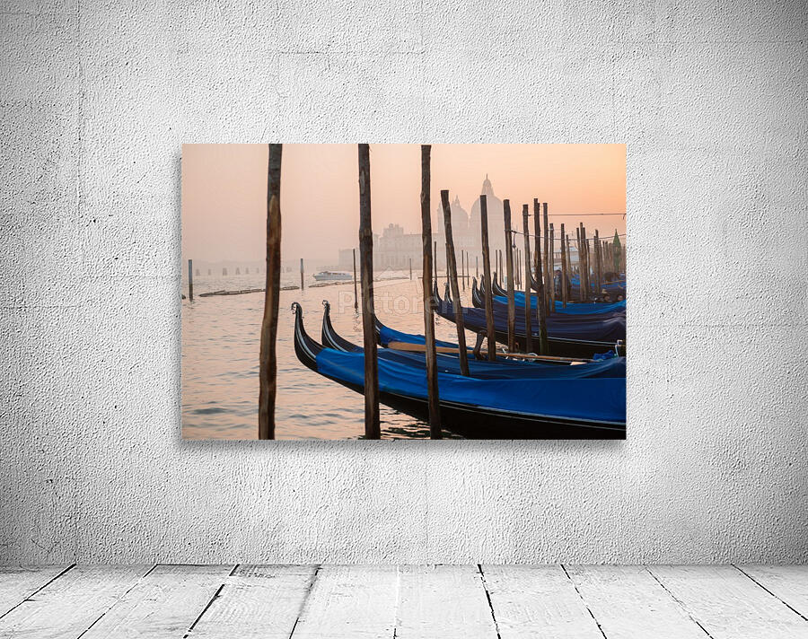 Venice Wall Preview