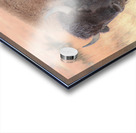 Perfect Eyebrows Acrylic print