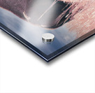 Belly Scratches Impression Acrylique