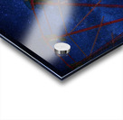 The Indian Princess and the Ferris Wheel Night Version Acrylic print