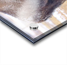 Baby Its Cold Impression Acrylique