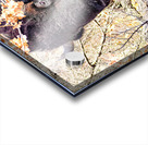 Into the Woods I Go Acrylic print