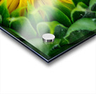 Awaiting The Moment Impression Acrylique