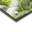 Turning Toward The Promise Impression Acrylique