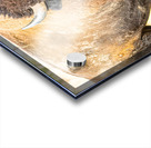 Stare Down Impression Acrylique