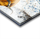 Twisted Sister In the Snow Acrylic print