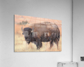 Perfect Eyebrows Acrylic Print