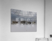 Longhorns Acrylic Print