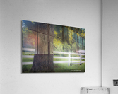 Backyard Swing Acrylic Print