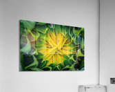 Awaiting The Moment Impression acrylique