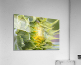 Turning Toward The Promise Impression acrylique