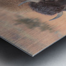 Perfect Eyebrows Metal print