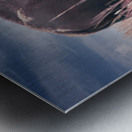 Belly Scratches Impression metal