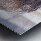 Baby Its Cold Impression metal