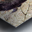 Into the Woods I Go Metal print