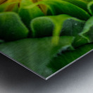 Awaiting The Moment Impression metal