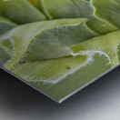 Turning Toward The Promise Impression metal