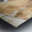 Stare Down Impression metal