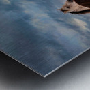 Dashing Through The Snow Impression metal