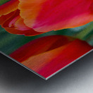 Perfectly Pastel Metal print