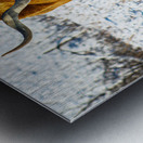 Twisted Sister In the Snow Metal print