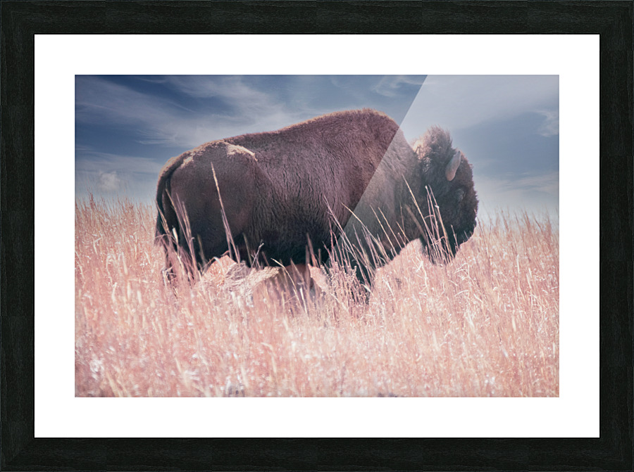 Belly Scratches Impression et Cadre photo