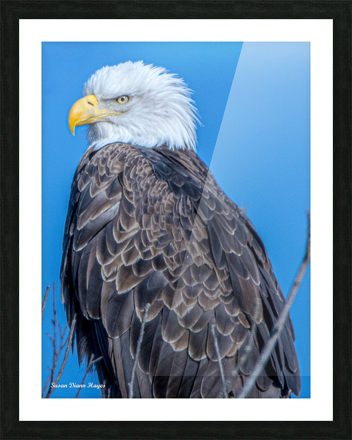 His Majesty Picture Frame print