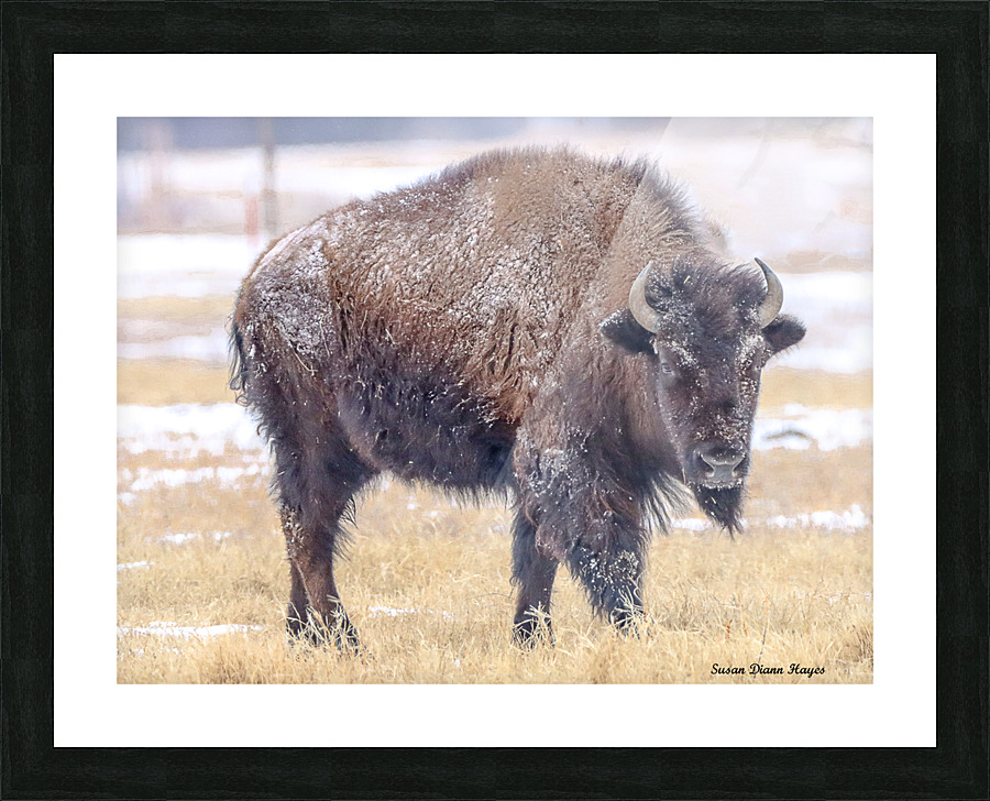 Baby Its Cold Impression et Cadre photo