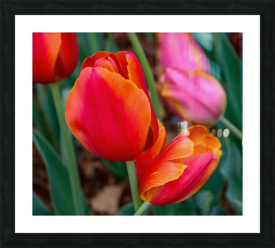 Perfectly Pastel Picture Frame print