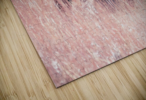 Belly Scratches Susan Diann Photography puzzle