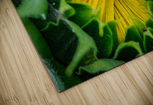 Awaiting The Moment Susan Diann Photography puzzle