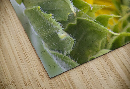 Turning Toward The Promise Susan Diann Photography puzzle