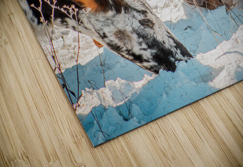 Winter Grazing Susan Diann Photography puzzle