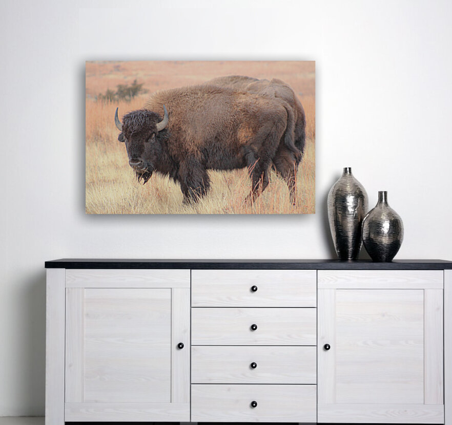 Perfect Eyebrows Reproduction