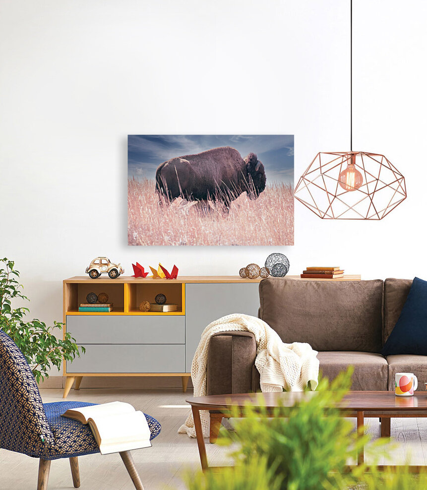 Belly Scratches Reproduction