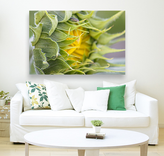 Turning Toward The Promise Reproduction