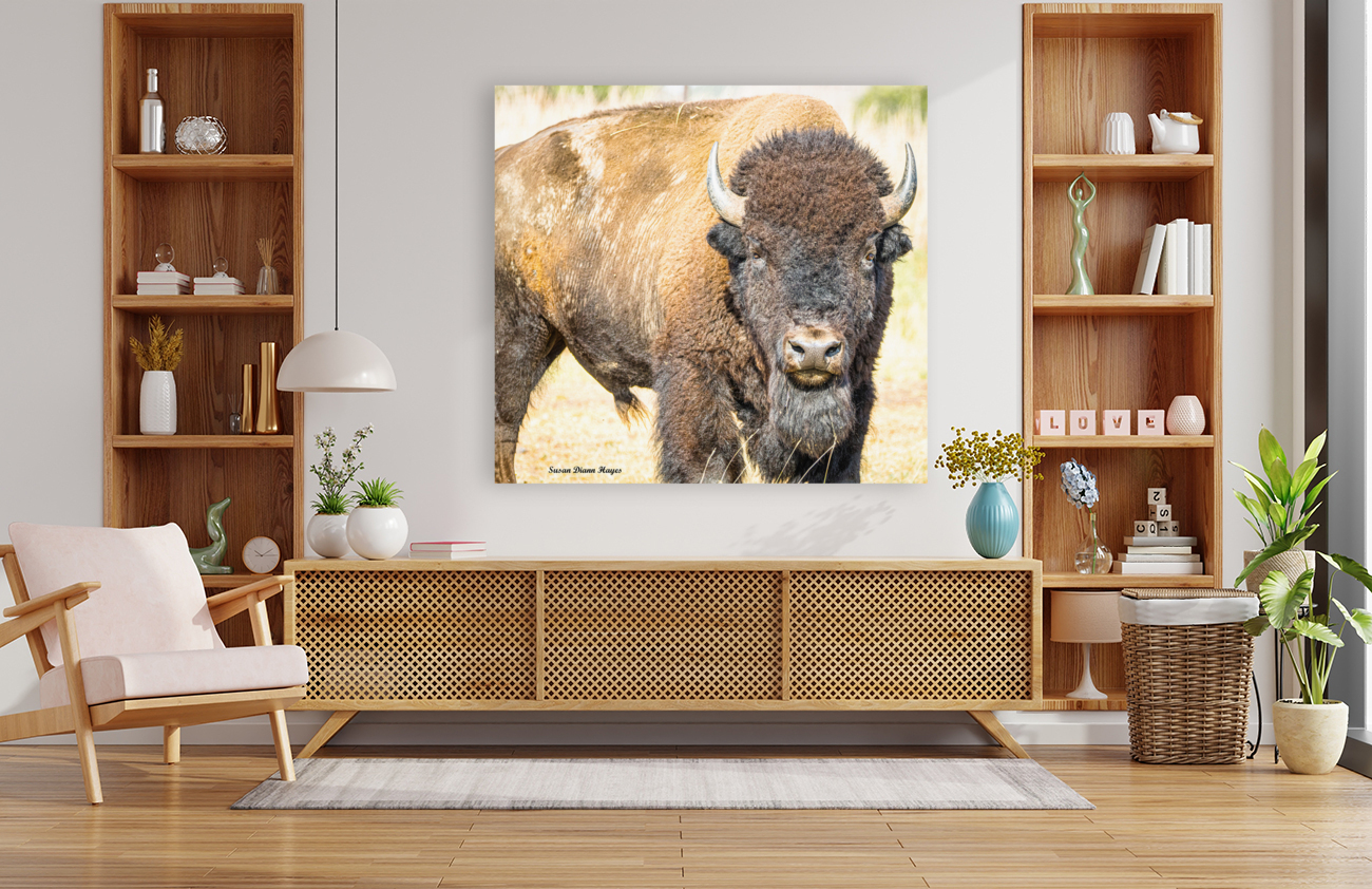 Stare Down Reproduction