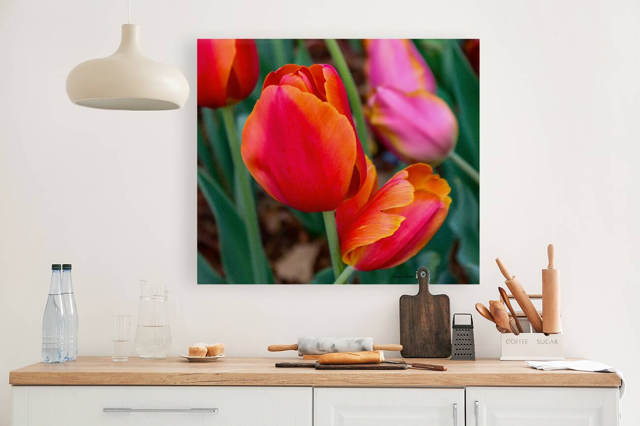 Perfectly Pastel Reproduction