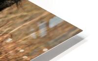 Painted Warrior HD Metal print