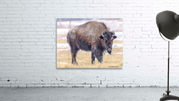 Baby Its Cold Aperçu sur mur