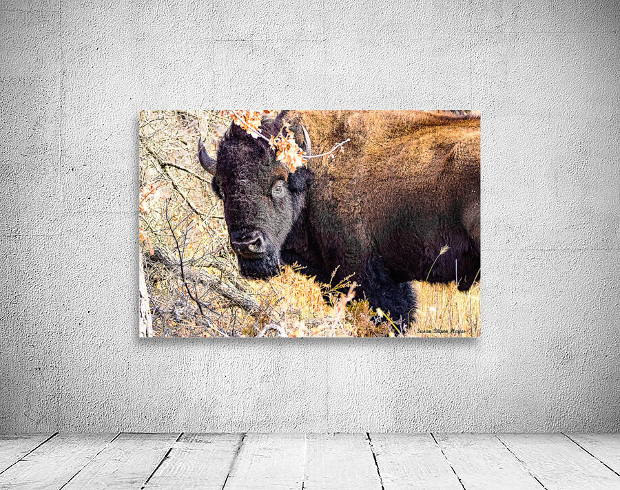 Into the Woods I Go Wall Preview