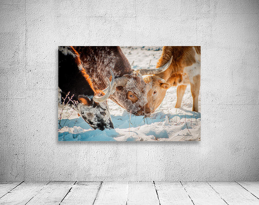 Winter Grazing Wall Preview