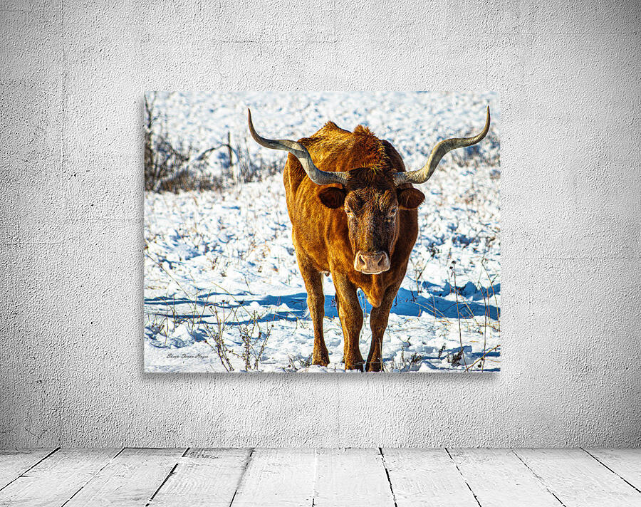 Twisted Sister In the Snow Wall Preview