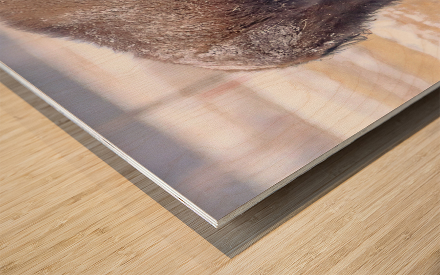 Baby Its Cold Impression sur bois