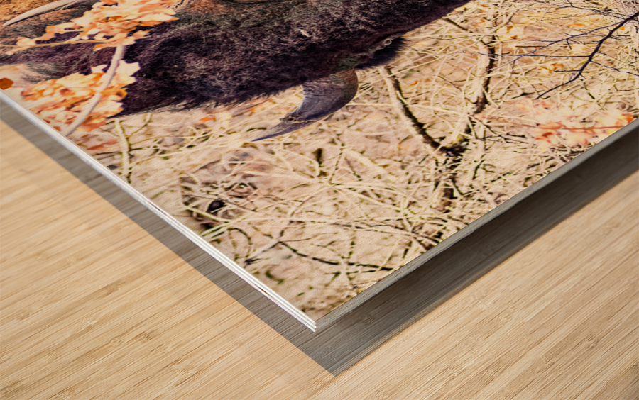 Into the Woods I Go Wood print