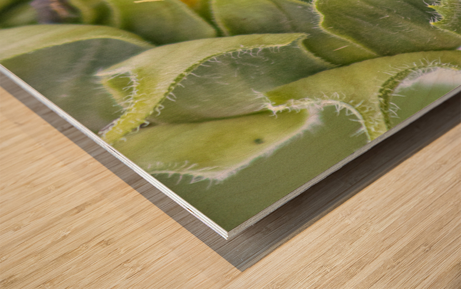 Turning Toward The Promise Impression sur bois