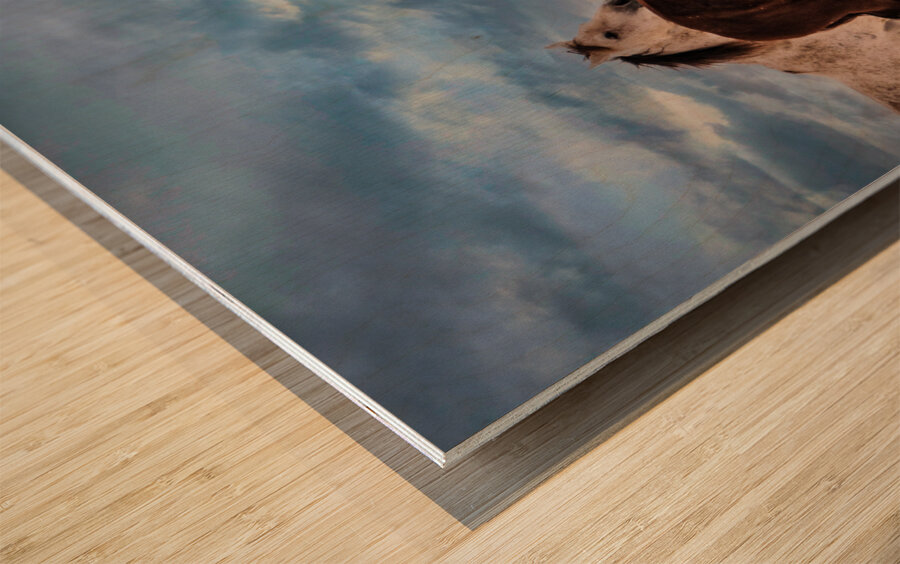 Dashing Through The Snow Impression sur bois