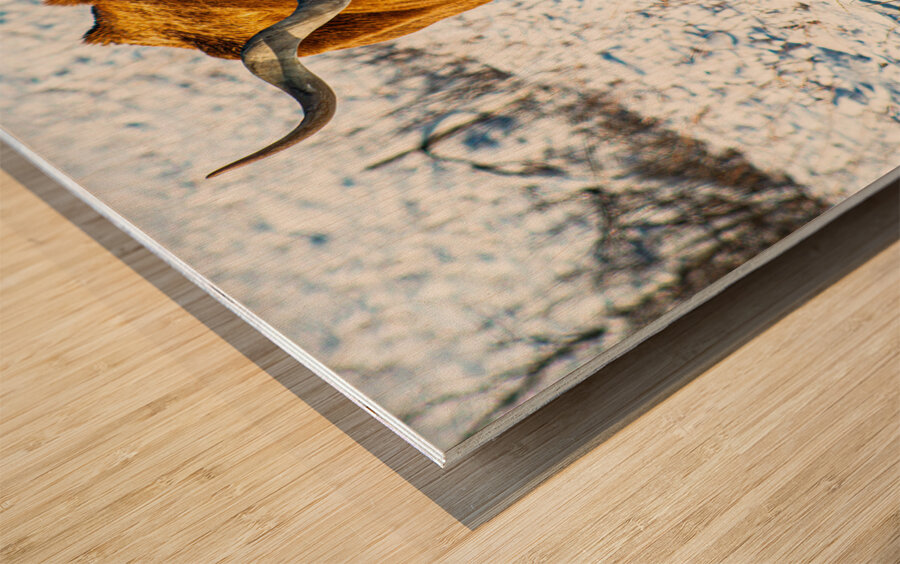 Twisted Sister In the Snow Wood print