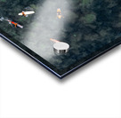 Patiently Waiting Sayulita Mexico Acrylic print