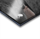 Peggys Cove Nova Scotia Canada Impression Acrylique